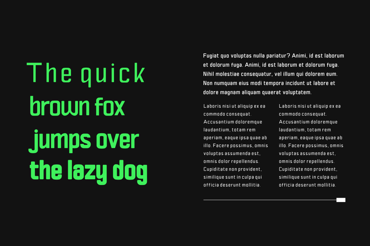 Viprox, a Sans Serif Font by twinstd (Photo 4 of 12)