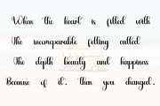 Donkeys, a Script Font by FreshTypeINK (Thumbnail 4 of 7)