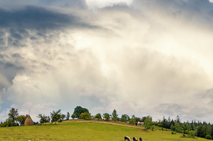 Sheep herd on summer mountain hill top, a Nature Photo by YuriyB