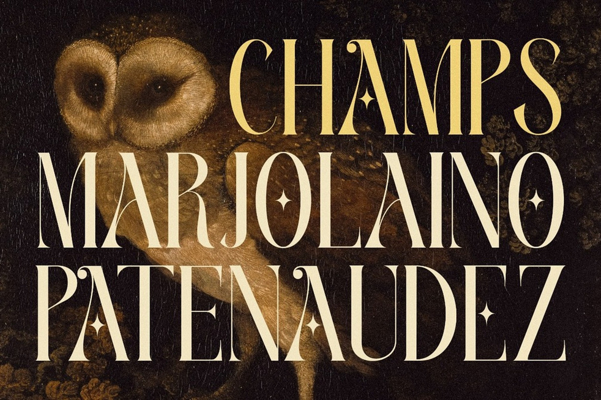 Rielason - Historic Elegance, a Serif Font by Muwatta Studio (Photo 4 of 7)
