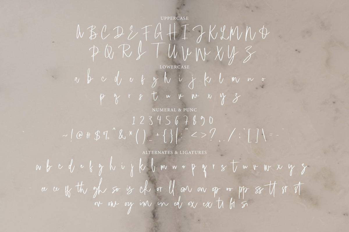Edomisse - Casual Signature, a Handwritten Font by tebaltipislab (Photo 8 of 11)