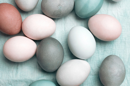 Festive multicolor easter eggs, a Holiday Photo by AlinaKho