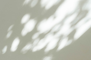 a abstract black and white shadow on the wall, clean minimalism concept, a Background Photo by Mikee's stuff