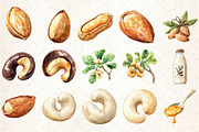 Almond Peanut Cashew Watercolor Clip, an Illustration by Rose Art (Thumbnail 2 of 7)
