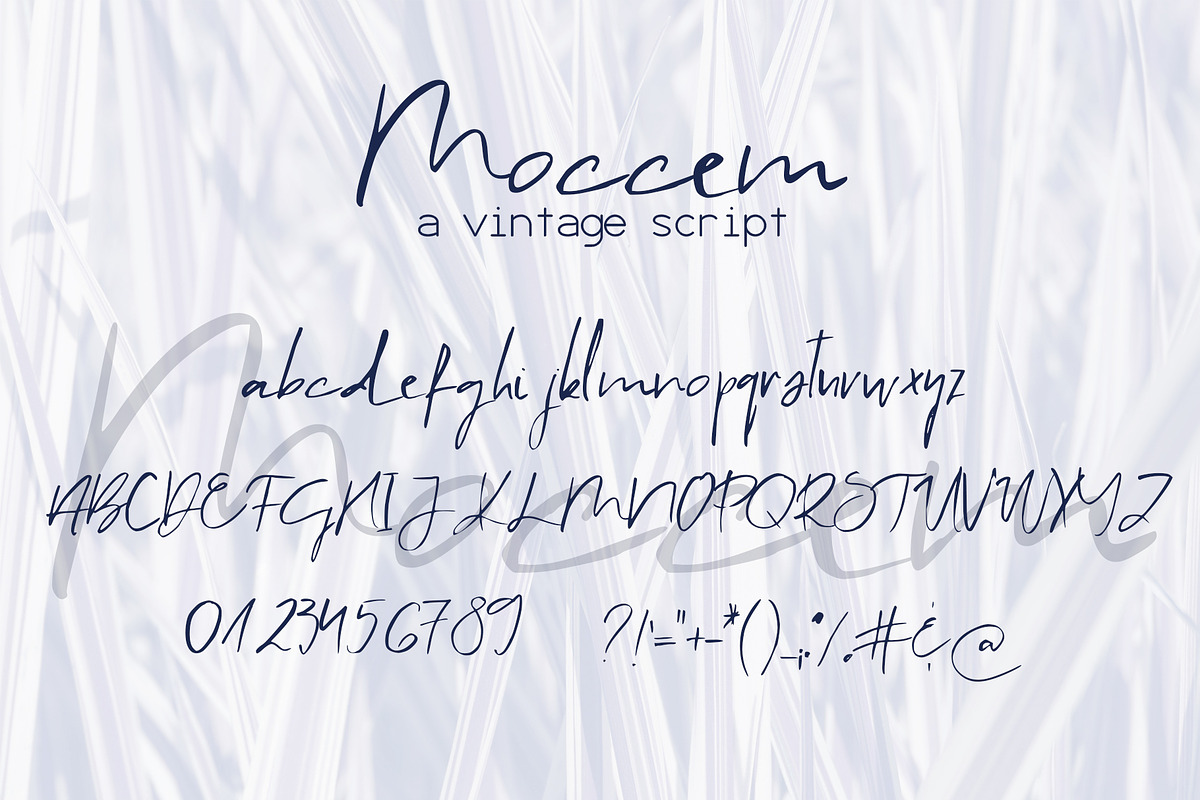 Moccem Font, a Script Font by SophieSaxo (Photo 9 of 9)