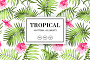 50% OFF! Tropical flowers & element, a Decorative Illustration by Kotkoa (Thumbnail 1 of 6)
