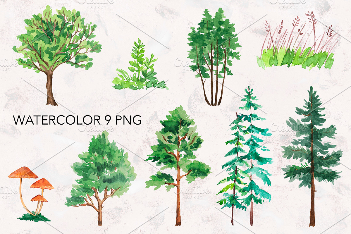 Forest Animals watercolor., an Animal Illustration by lilisavelieva (Photo 4 of 6)
