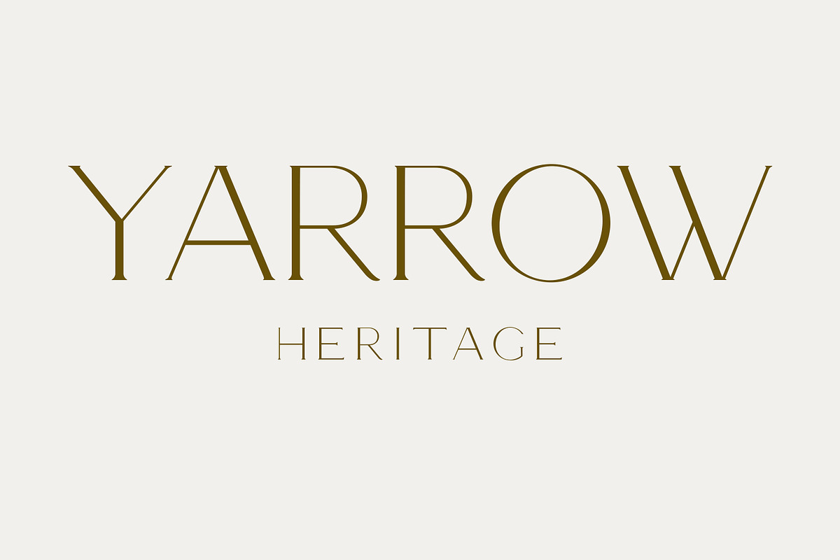 Armeria - serif font, a Serif Font by Art pages (Photo 6 of 8)