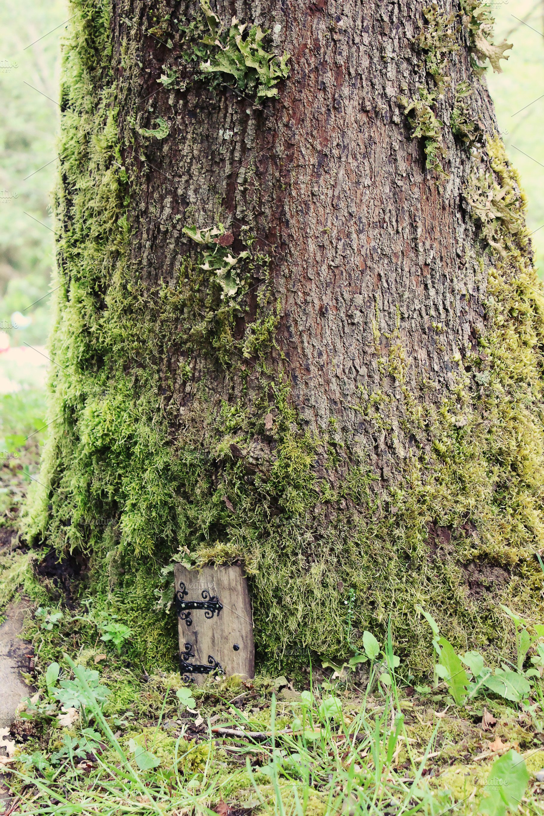 Gnome Door, a Nature Photo by Creatively Happy Studio