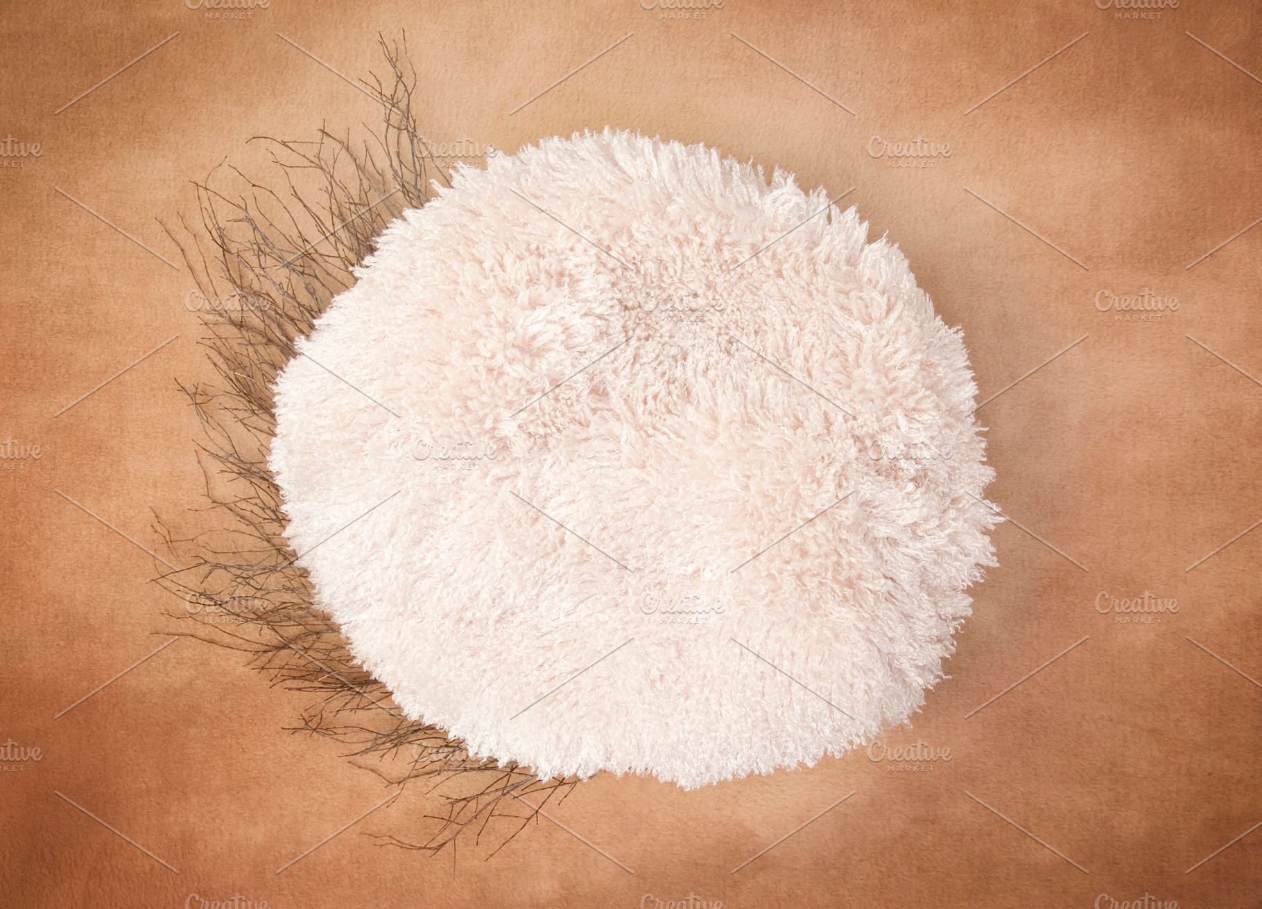 Newborn backdrop twig circle featuring newborn, baby, and child, a Person Photo by P Maxwell Photography