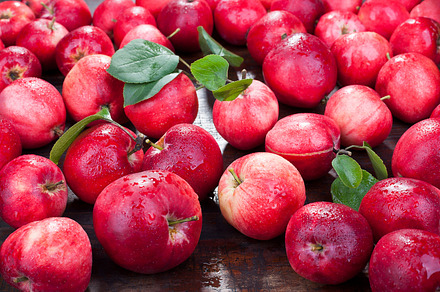 Red Juicy Apples On The Table Stock Photo Containing Apples And Autumn preview 6
