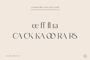 Casablanca - Sleek & Exotic Serif, a Serif Font by Alubia design (Thumbnail 5 of 11)