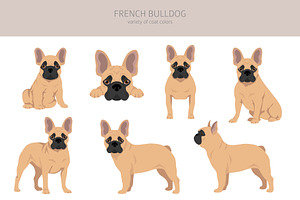 French Bulldog Clipart