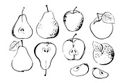 Fruits and berries vector sketch, a Food Illustration by irina.vaneeva (Thumbnail 8 of 11)