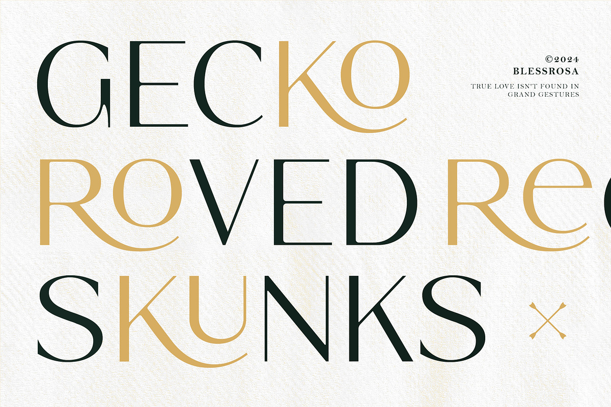 Blessrosa - Elegant Luxury Sans Font, a Sans Serif Font by Typia Nesia (Photo 7 of 14)