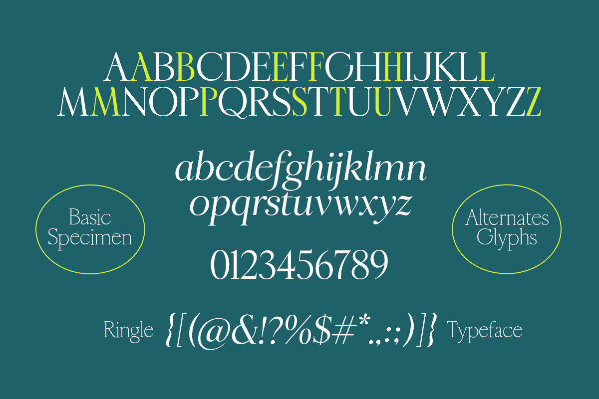 Ringle, a Serif Font by Attract Studio (Photo 12 of 13)