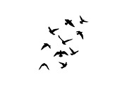 Boho Feather Silhouette Vector, an Object Graphic by jahid234 (Thumbnail 5 of 51)