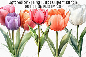 Watercolor Spring Tulips Clipart PNG, an Illustration by Canvas Craft