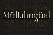 Klandestin Modern & Classical Serif, a Serif Font by Lettertype Studio (Thumbnail 19 of 20)