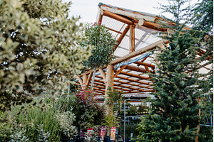 Garden store with organized flower, a Nature Photo by HalfPoint