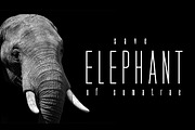 Seductive Height, a Sans Serif Font by Wildan Type (Thumbnail 9 of 10)