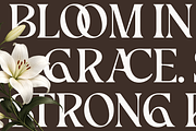 Picktea – Elegant Luxury Serif, a Serif Font by roomspace creative lab (Thumbnail 7 of 12)