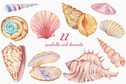 Watercolor Seashells, an Illustration by Irina Diasli (Thumbnail 2 of 9)