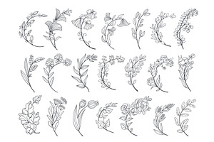 Curved floral branches. Decorative, an Object Illustration by YummyBuum
