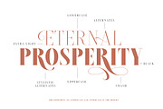 Brioche Family (70% OFF), a Serif Font by Sarid Ezra (Thumbnail 4 of 10)