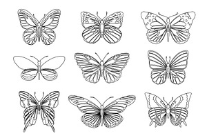 Set Of Butterflies For Design