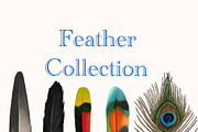 Feather Collection, an Illustration by KiNA (Thumbnail 1 of 2)