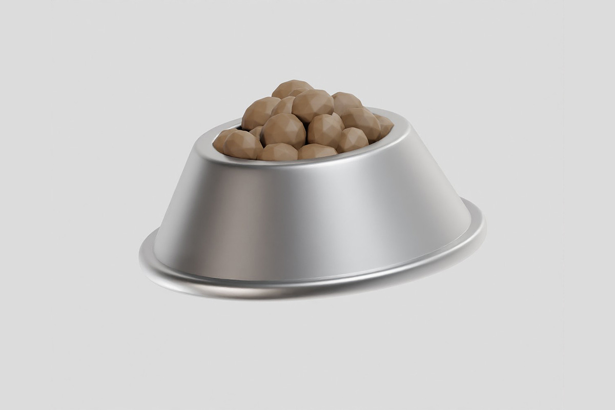 Dog food Bowl Stainless Steel Food, an Object 3D Model by fahad121 (Photo 2 of 7)