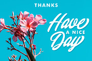 Chillout Typeface, a Script Font by YdhraStudio (Thumbnail 13 of 13)