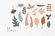 FOREST TREASURES big vector bundle, a Decorative Illustration by Lena Nikolaeva (Thumbnail 3 of 16)