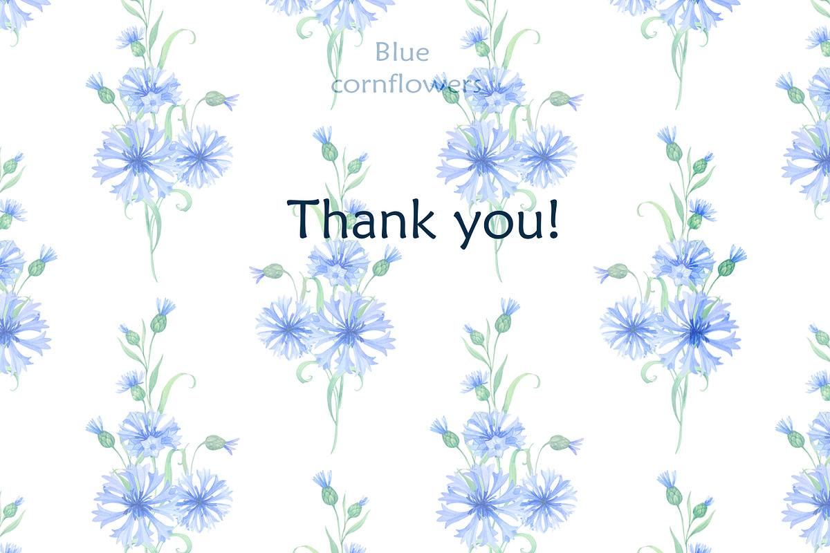 Blue cornflowers bundle, a Decorative Illustration by EshaStudio (Photo 15 of 15)