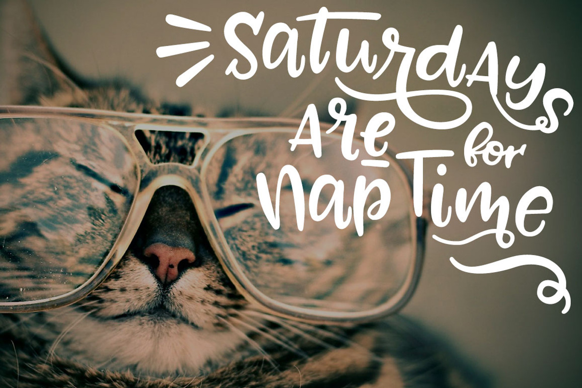 Zooky Squash: a hand-lettering font preview 3