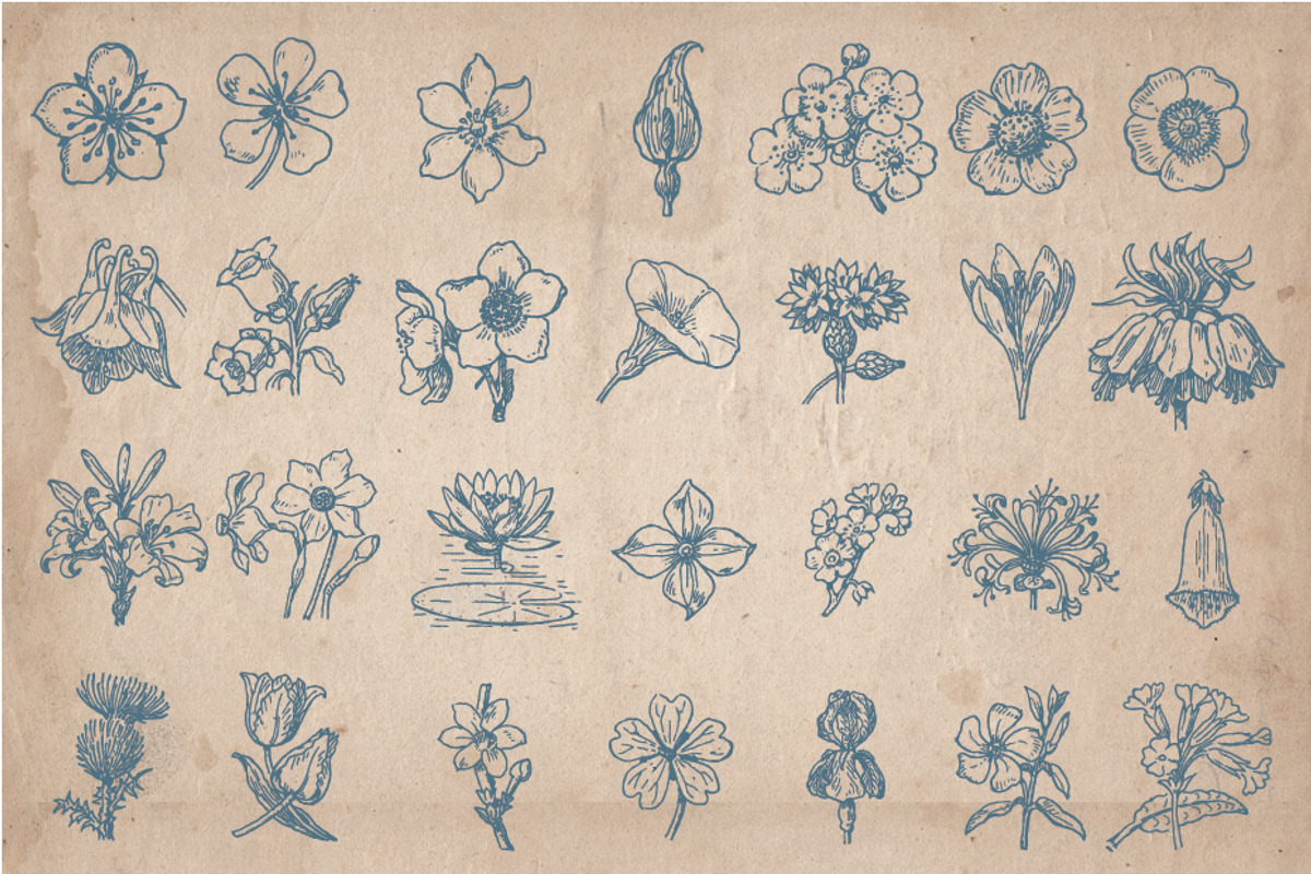 205 Floral Objects, an Object Graphic by Mr Vintage (Photo 2 of 5)