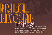 Munish, a Sans Serif Font by FactoryType Studio (Thumbnail 8 of 13)