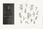 Ink and Petal Floral Vectors, an Object Graphic by Fire Spark Studio (Thumbnail 3 of 8)