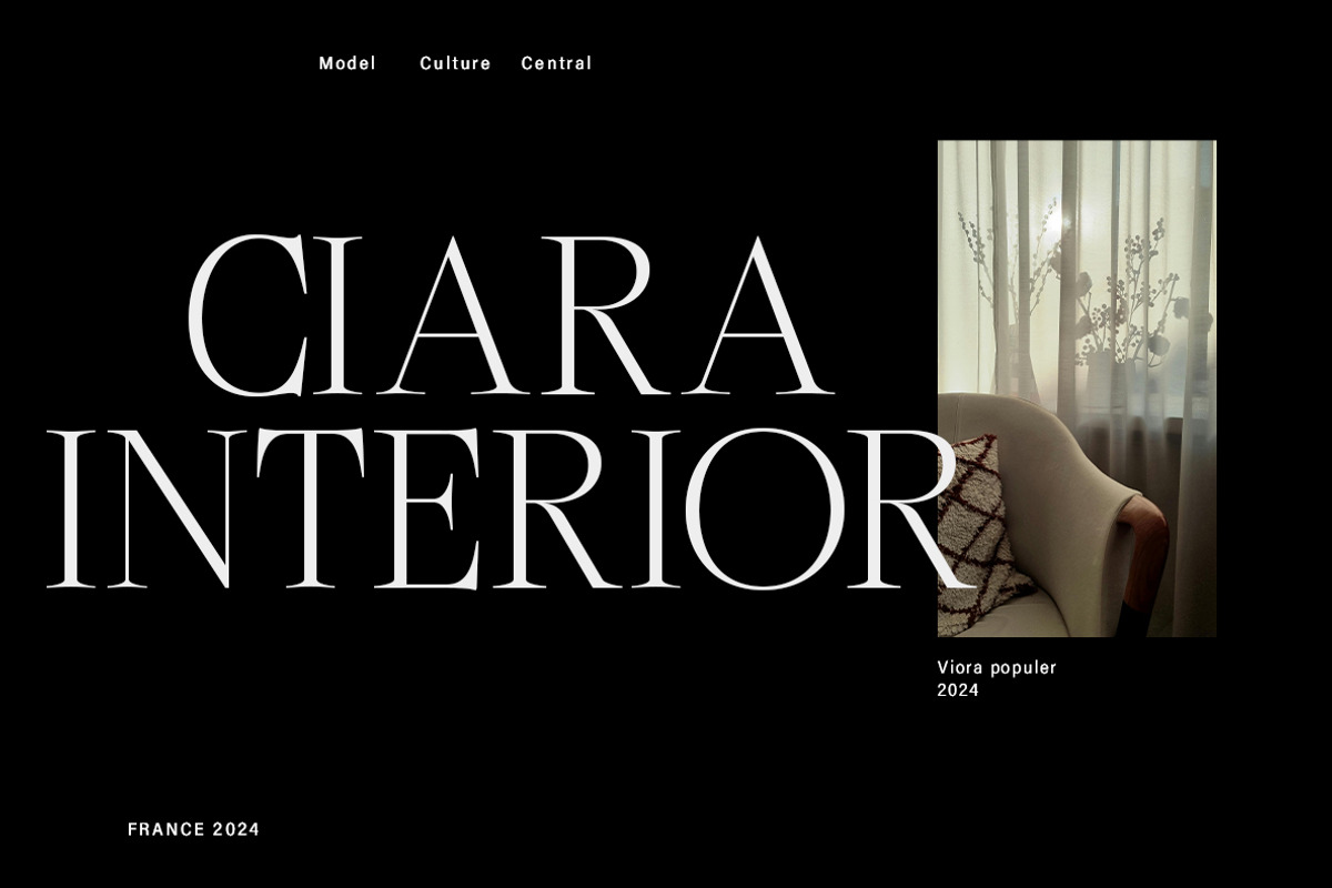 Begalia Serif - Elegant Typeface, a Serif Font by InkwellTypeCo (Photo 2 of 14)