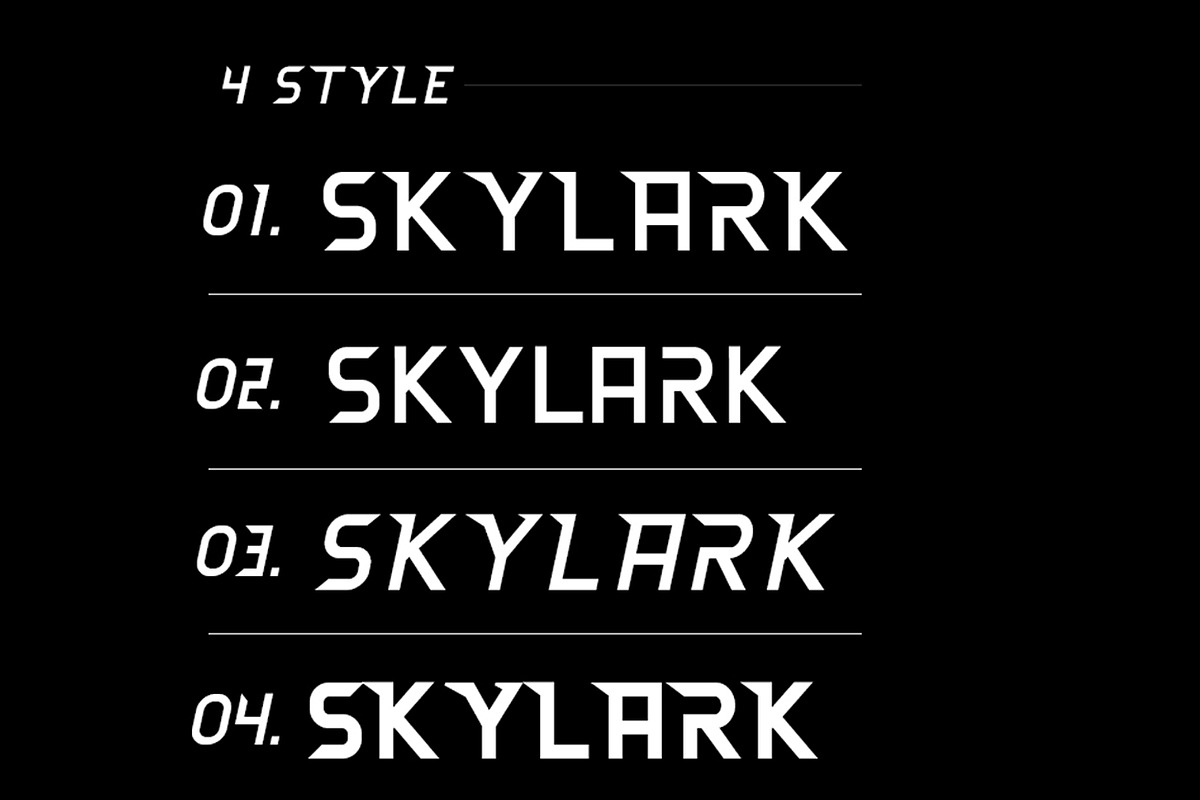 Skylark Font, a Script Font by MRI STUDIO (Photo 2 of 4)