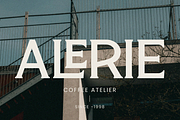 Lorine, a Serif Font by zeenesia (Thumbnail 3 of 14)