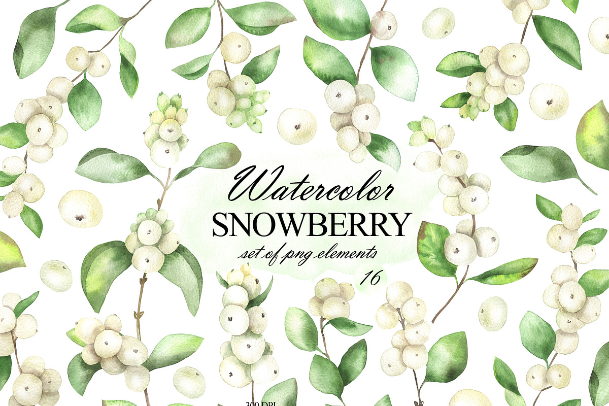 Watercolor snowberry clipart, an Illustration by OlDm_Shop (Photo 1 of 11)
