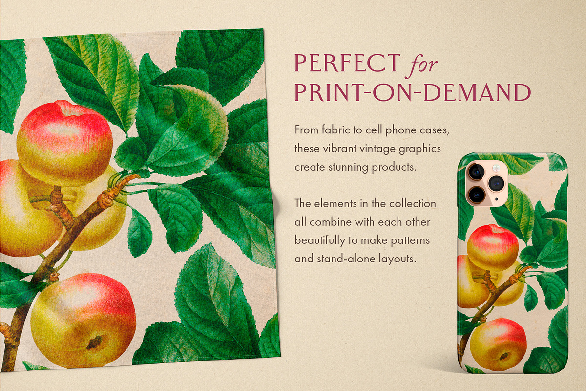 80 Fruits & Vegetables, an Object Graphic by The Object Atlas (Photo 9 of 10)