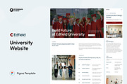 University Website UI Figma Template, an UI Kit Template by peterdraw (Thumbnail 1 of 7)