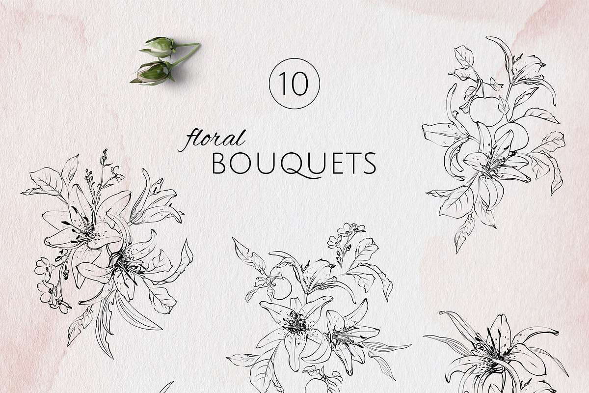 IN MY GARDEN line art florals, a Decorative Illustration by Yuliia Lashevska (Photo 5 of 11)