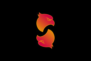 Letter S Eagle Logo, a Branding & Logo Template by Salman Shop