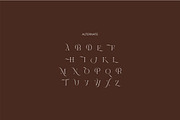 Brisca Miera - Chic Ligature Font, a Serif Font by suhadidesign (Thumbnail 13 of 13)
