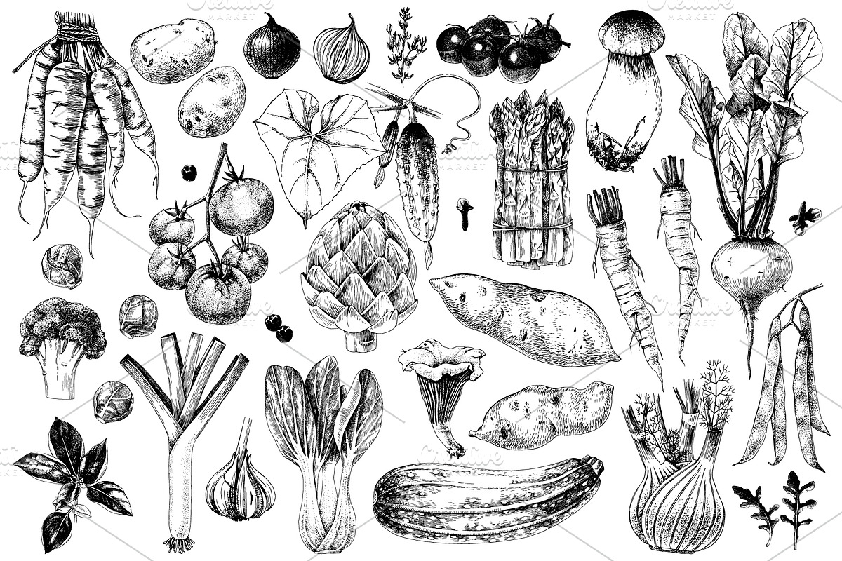 Ultimate vegetables set, a Food Illustration by handsketched (Photo 9 of 19)