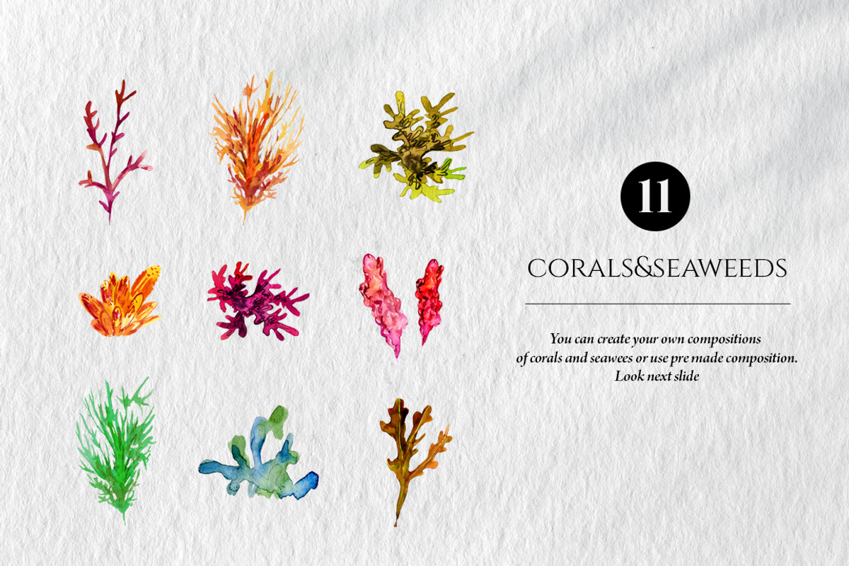 Ocean animals and fish clipart, a Pattern Graphic by ArtSpotVeronika (Photo 5 of 15)